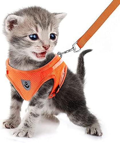 FEimaX Dog Harness and Leash Set for Walking, Soft Mesh Adjustable Easy Control Lightweight Cat Vest Harnesses with Reflective Strips, Escape Proof Small Dogs Cats Vests (Orange, X-Large)