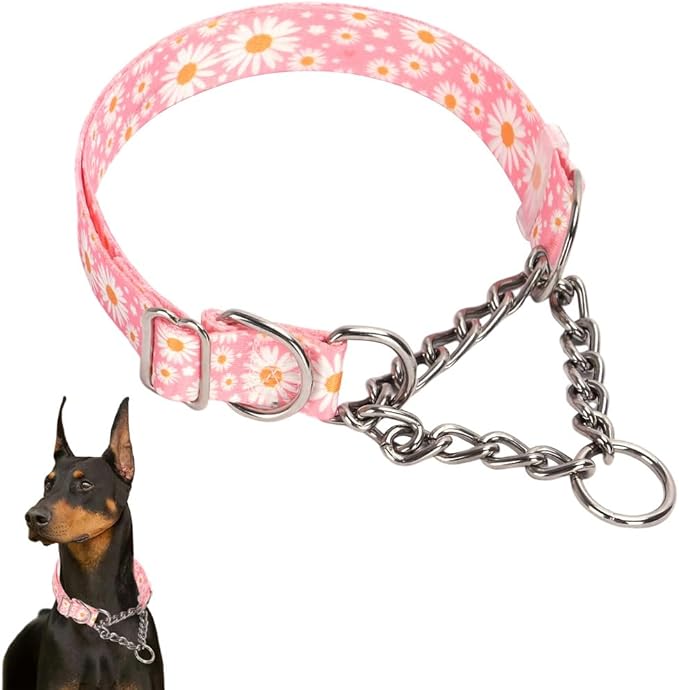 Martingale Collar，Stainless Steel Chain Martingale Collar for Dogs, No Pull Slip Cinch Choker Choke Heavy Duty Dog Collar