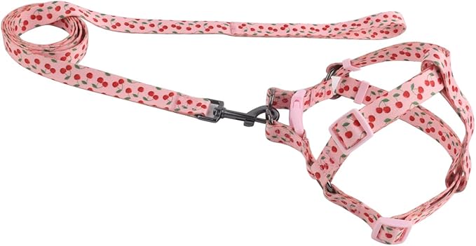 Harness and Leash Set, Floral Pattern, 5ft Matching Leash, No Pull, Easy Wear for Medium Dogs.(M, Pink Cherry)