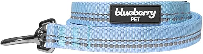 Blueberry Pet 3M Reflective Pastel Color Dog Leash with Soft & Comfortable Handle, 4 ft x 1", Baby Blue, Large, Leashes for Dogs