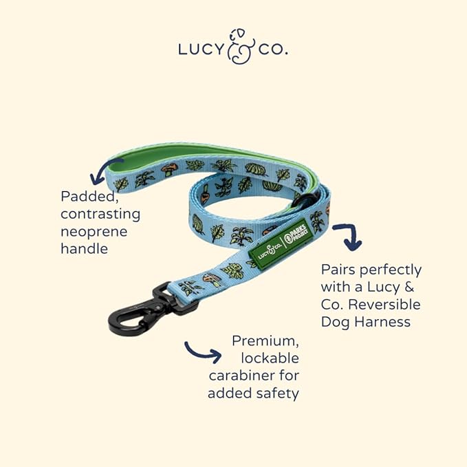 Lucy & Co. x Parks Project Feel the Earth Breath Dog Leash, Durable Matching Dog Lead with Heavy Duty Hardware, Small