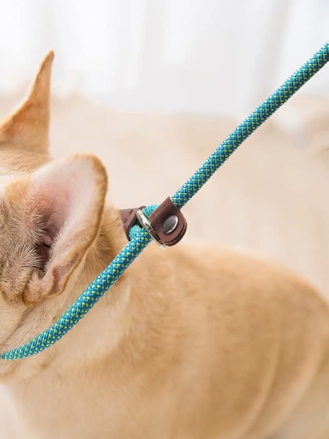 BTINESFUL 7FT Slip Lead Dog Leash, 14+ Colors Nylon Rope Leash, 1/4 Diam Dog Training Lead for Small Medium Dogs (1/4" * 7 FT, Green Dot)