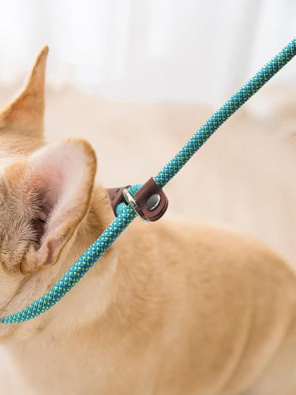 BTINESFUL 7FT Slip Lead Dog Leash, 14+ Colors Nylon Rope Leash, 1/4 Diam Dog Training Lead for Small Medium Dogs (1/4" * 7 FT, Green Dot)