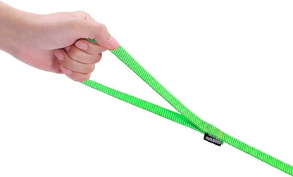 AMAGOOD 6 FT Cat Leash, Strong and Durable Traditional Style Leash with Easy to Use Collar Hook,Cat Lead Great for Cats (3/8 in x 6 ft(Pack of 1), Green)