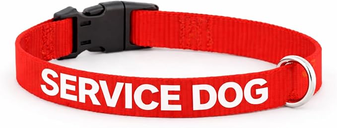 Service Dog Collar & Emotional Support Animal (ESA) Collar with Metal ID Tag + 3 Information Cards – Adjustable Heavy-Duty Nylon | ALL ACCESS CANINE