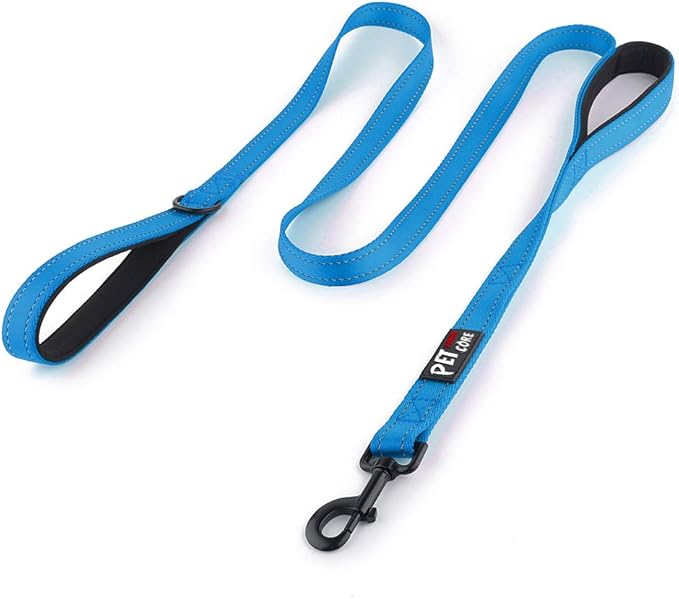 Plutus Pet Double Handle Dog Leash 4ft, Heavy Duty, Reflective Dual Handle Dog Leash for Safety Training, for Medium Large Dogs,2 Handle Leads(Blue)
