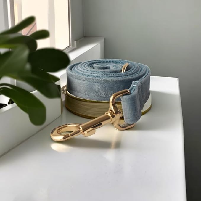 Love Dream Velvet Dog Collar and Leash Set, Soft & Comfy Adjustable Dog Leash and Collar with Heavy Duty Metal Buckle for Small Medium Large Dogs Training & Walking (Large, Pearl Blue)