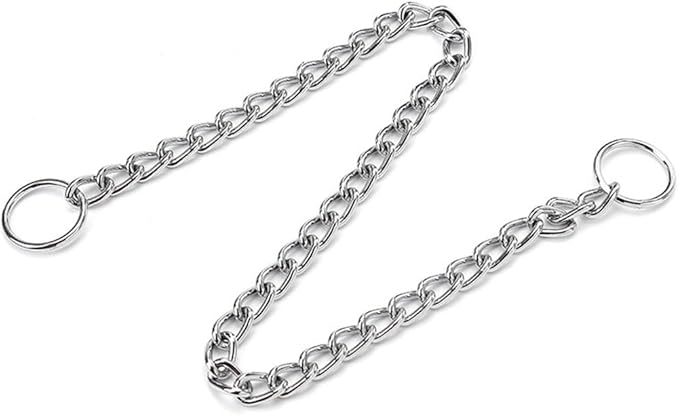 Chain Choke Collar for Dogs, Metal Slip Link Training Heavy Duty Dog Choker Collar Puppy Collars for Small Medium Large Big XL Breed Dogs, 2xSilver L