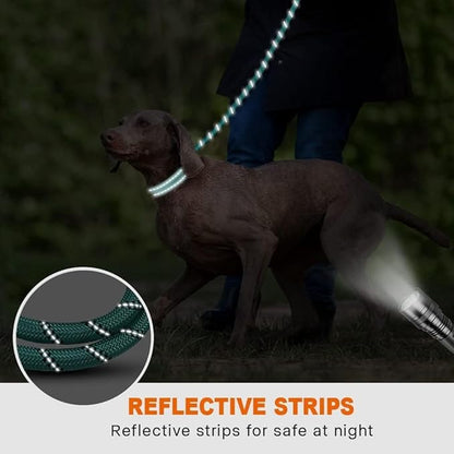 Taglory Rope Dog Leash 5 FT with Comfortable Padded Handle, Highly Reflective Threads Leash and Anti-Tangle Clip for Walking Medium Large Dogs, 1/2 inch, Turquoise
