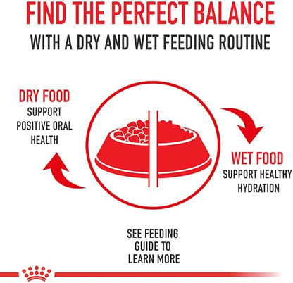 Royal Canin Size Health Nutrition Medium Aging 10+ Senior Dry Dog Food, 30 lb Bag