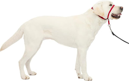 PetSafe Gentle Leader Headcollar No-Pull Dog Collar - Helps Improve Walks - Durable Nylon Construction - Padded Nose Loop - Adjustable Fit - Comfort Walking Halter - Large, Red