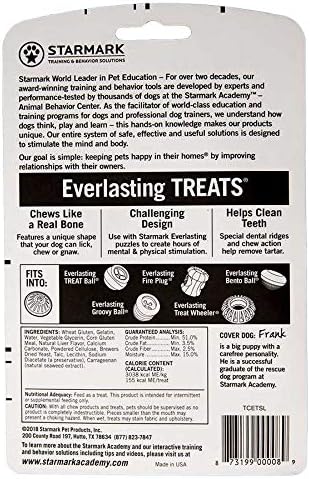 Starmark Everlasting Treat For Dogs, Liver, Medium