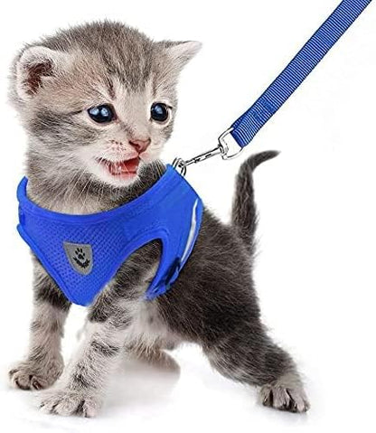 FEimaX Dog Harness and Leash Set for Walking, Soft Mesh Adjustable Easy Control Lightweight Cat Vest Harnesses with Reflective Strips, Escape Proof Small Dogs Cats Vests (Blue, Small)