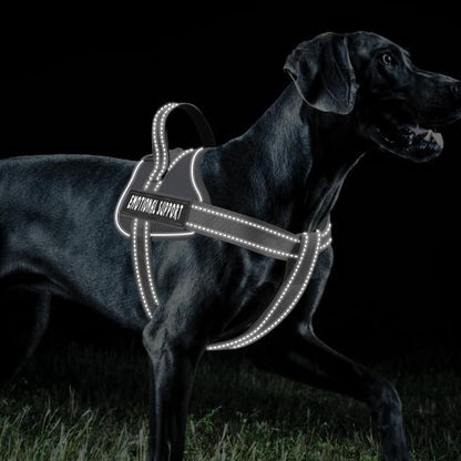 voopet Emotional Support Dog Harness, Professional Service Dog Vest Harness for Small Medium Large Dogs, Reflective Breathable and Adjustable No Pull/Choke ESA Essential Harness