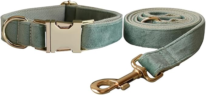 Love Dream Velvet Dog Collar and Leash Set, Soft & Comfy Adjustable Dog Leash and Collar with Heavy Duty Metal Buckle for Small Medium Large Dogs Training & Walking (Large, Mint Green)