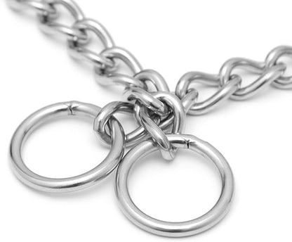 Slip P Choke Chain Collar for Medium Dogs, Stainless Steel Training Collar Link Martingale Collars Puppy Chains for XXS XS Small Medium Large Breed Dog, Silver,S