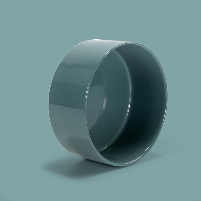 SPUNKYJUNKY 60OZ Ceramic Dog and Cat Bowl, Modern Cute Weighted Food Water Bowl for Replacement Light Green (2 Pack)