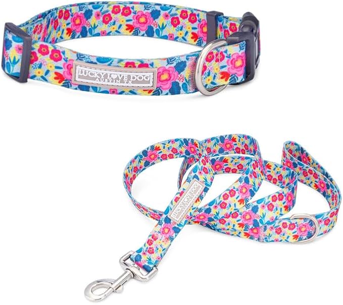 Lucky Love Dog - Adjustable Dog Collar and Leash Set with Easy Click Buckle for Small Dogs, Durable, & Comfortable Collar for Male & Female Dogs, Puppies & Adult Ones- Valentina Combo, XS