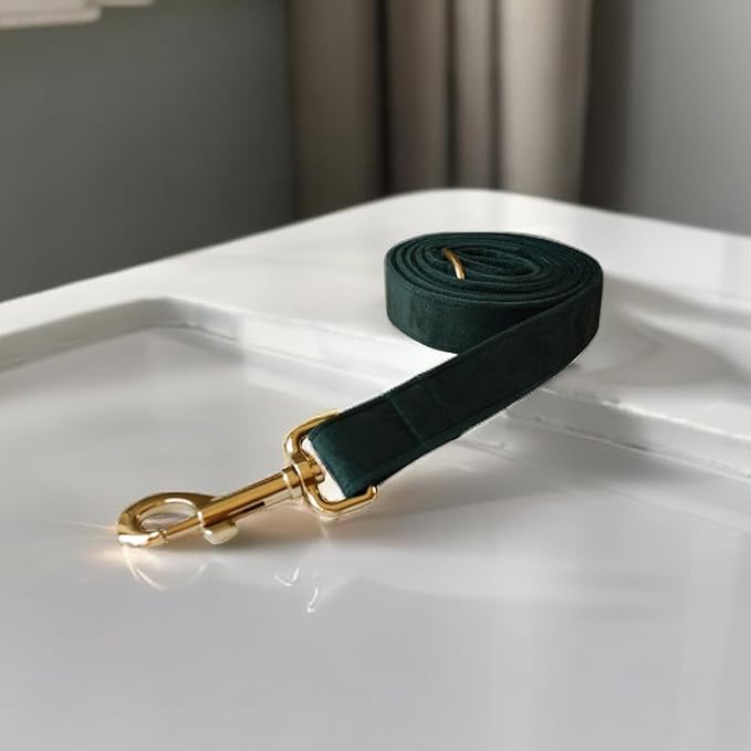Love Dream Velvet Dog Collar and Leash Set, Soft & Comfy Adjustable Dog Leash and Collar with Heavy Duty Metal Buckle for Small Medium Large Dogs Training & Walking (XLarge, Green)
