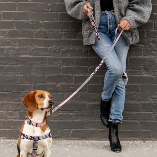 Wolfgang Heavy Duty Dog Leash, Pull-Tested to Over 800 lbs for Walking & Training, HoundsPink Print, Dual-Handle Large