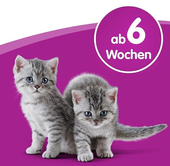 Whiskas Cat Milk (200ml)
