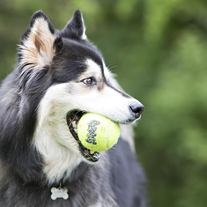 Kong Squeakair Dog Toy Tennis Ball - Medium, x 9