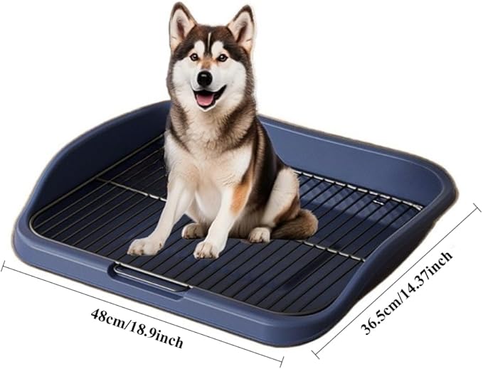 Mesh Dog Potty Tray Removable Stable Structure - Indoor Puppy Training Toilet Pee Pad Holder for Small & Medium Dogs(Blue)