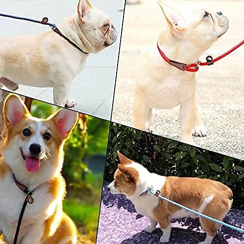 MayPaw Slip Lead Control Leash for Dogs No Pull, 13+ Colors Classic Dog Lead 7 FT Pet Slip Leash, 1/4” Rope Leashes for Small Medium Animals (7ft*1/4", Green)