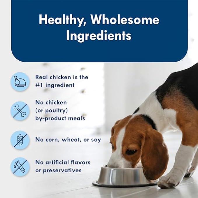Blue Buffalo Delights Rotisserie Chicken Flavor in Gravy Small Breed Natural Wet Dog Food, 3.5 oz., Case of 12