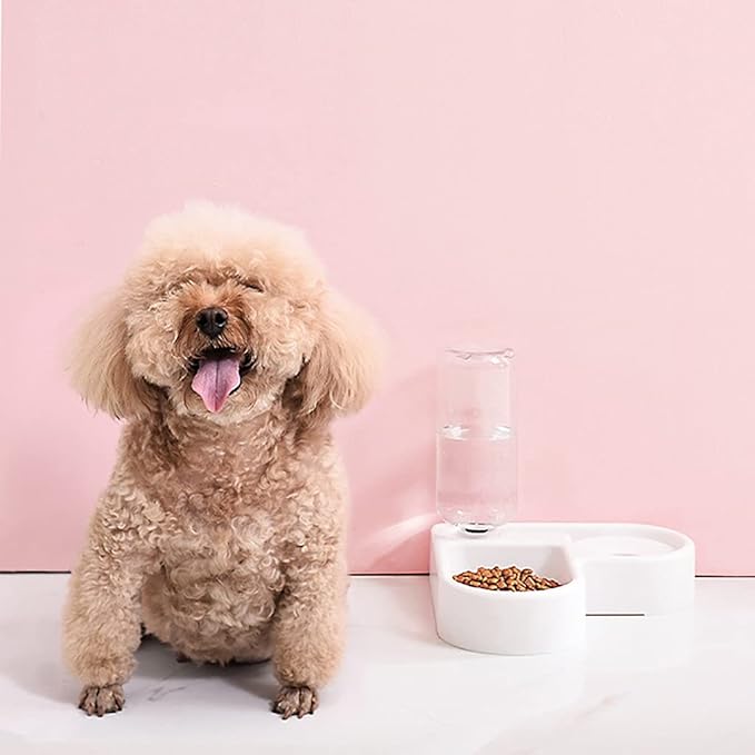 Dog and Water Dispenser Small and Medium Sized Dog and Food Basin Bowl Automatic Water Dispenser Pet Products