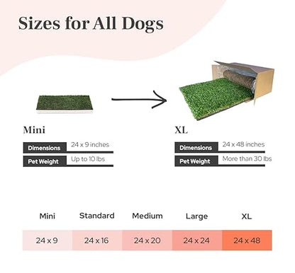 DoggieLawn XL - Real Grass Dog Pee Pad with Built-in Disposable Tray | No Cleaning, Odor-Free | Indoor Outdoor Potty Training for Puppies & Large Dogs | 48" x 24"