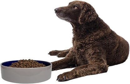 SPOT Standard Crock Dish - Heavy Duty, Non-Slip, Round Ceramic Food/Water Bowl for Pets, Ideal for Medium to Large Dogs or Multiple Animals, Dishwasher Safe - 9.5 in, 8 Cups, (64 Oz)