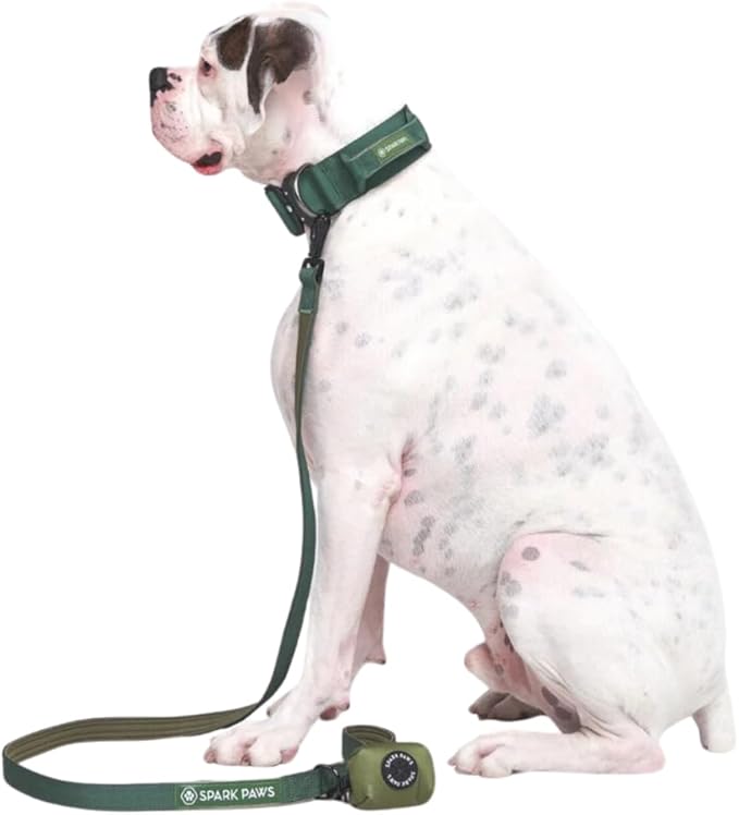 Spark Paws Premium Dog Leash & Poop Bag Set - Heavy-Duty Alloy Hook for Strong Pulling Breeds - Comfortable, Durable & Secure - Green