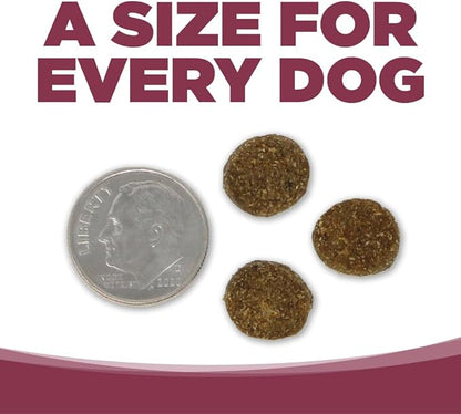 NutriSource Pure Vita Salmon & Kale Dog Food, 25LB