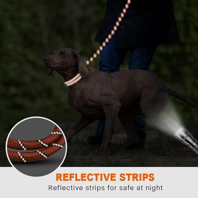 Taglory Rope Dog Leash 6 FT with Comfortable Padded Handle, Highly Reflective Threads Leash and Anti-Tangle Clip for Walking Medium Large Dogs, 1/2 inch, Orange