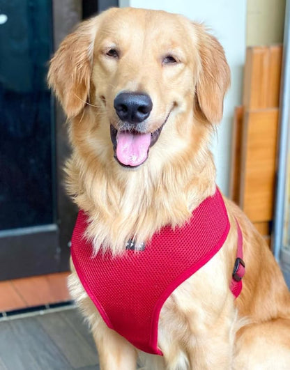 Puppia Soft Dog Harness, Wine, Large (PDCF-AC30-WN-L)