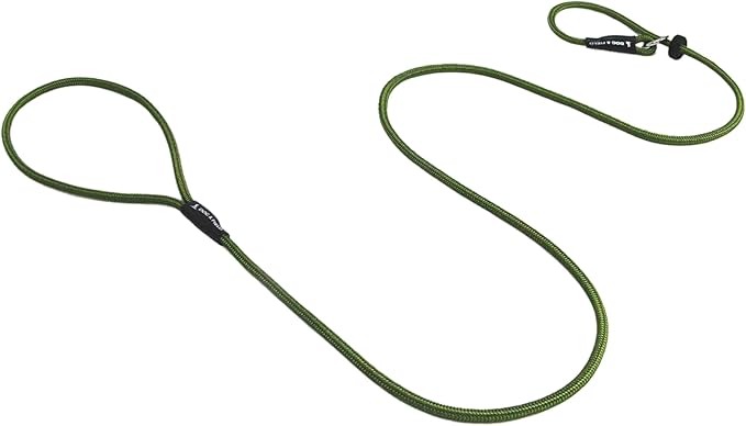 Dog & Field Signature Slip Lead for Dogs, Olive Green. 4ft Lightweight Dog Slip Leash with Sliding Rubber Stopper. Training Lead for Dogs, Thin Slip Lead, No Collar or Harness Needed (Olive Green)