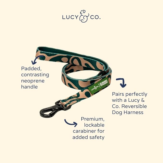 Lucy & Co. x Parks Project Geyser Dog Leash, Durable Matching Dog Lead with Heavy Duty Hardware, Small