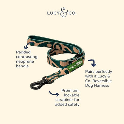 Lucy & Co. x Parks Project Geyser Dog Leash, Durable Matching Dog Lead with Heavy Duty Hardware, Small