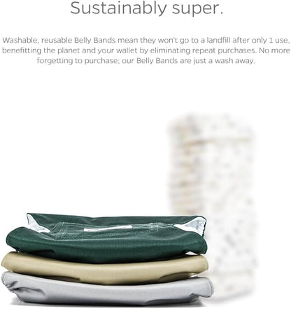 Pet Parents® Washable Belly Bands for Male Dogs (3pack) + Extendrs® of Durable Dog Diapers Male, Premium Male Dog Diapers & Dog Wraps (X-Small, Spruce)