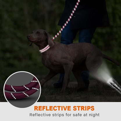 Taglory Rope Dog Leash 5 FT with Comfortable Padded Handle, Highly Reflective Threads Leash and Anti-Tangle Clip for Walking Medium Large Dogs, 1/2 inch, Hotpink