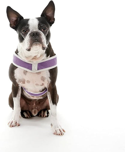 Gooby Simple Step in III Harness - Purple, Medium - Small Dog Harness with Scratch Resistant Outer Vest - Soft Inner Mesh Harness for Small, Medium Dogs
