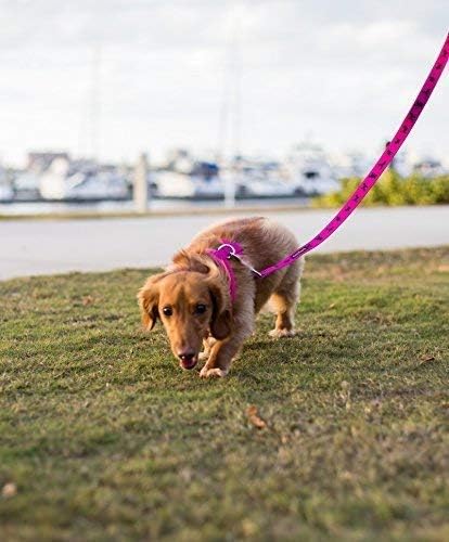 EcoBark Dog Leash - Soft & Reflective Comfort Leashes with Padded Handle - Strong Durable Heavy Duty - Training and Pulling for Small, Medium or Large Dogs (Pink)