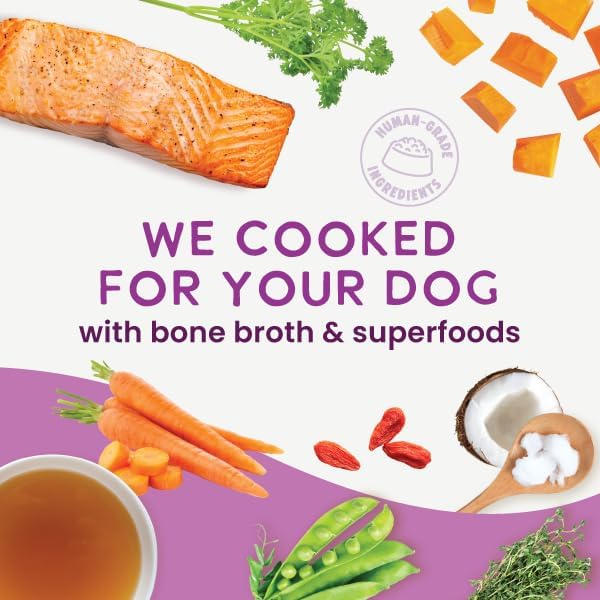 Health Extension Gently Cooked Grain-Free Salmon Dog Food, Human-Grade & Shelf-Stable with Superfoods, Supports Digestion, Immunity, Skin & Coat, 9 oz Pouch (Pack of 5)