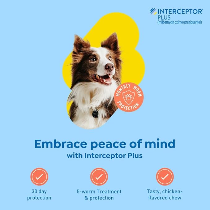 Interceptor Plus Prevention for Heartworm + 4 Other Worms for Dogs 25.1-50 lbs. | 12 Chews, 12-Month Supply
