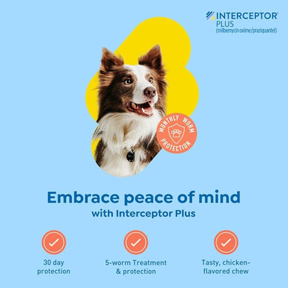 Interceptor Plus Prevention for Heartworm + 4 Other Worms for Dogs 25.1-50 lbs. | 12 Chews, 12-Month Supply