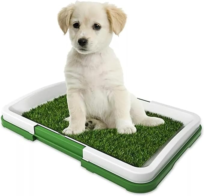 BE POSITIVE Synthetic Grass Training Mat with Washable Tray for Dogs, Great for Indoor and Outdoor