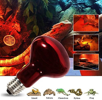 Infrared Heat Lamp Bulbs 75W 2 Pack,Red Basking Spot Light Bulb Reptile Heating lamp for Bearded Dragon,Turtle,Snake,Leopard Gecko,Chicked with Digital Temperature Thermometer