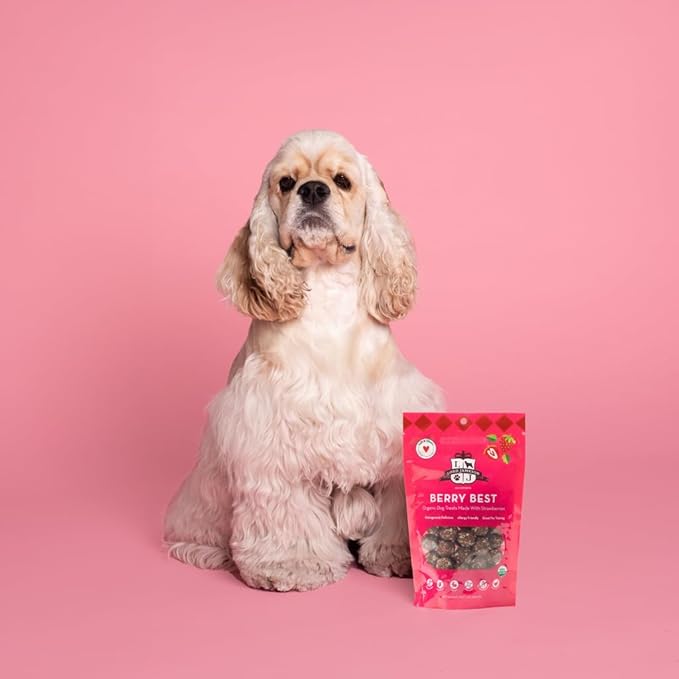 Lord Jameson Berry Best Soft & Chewy Organic Dog Treats - Strawberries & Beets- Gluten-Free, Preservative-Free, USDA Certified Organic – For All Life Stages - Made in USA 6 oz