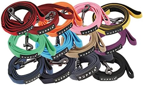 Puppia Two Tone Dog Lead Strong Durable Comfortable Grip Walking Training Leash for Small & Medium Dog, Wine, Large